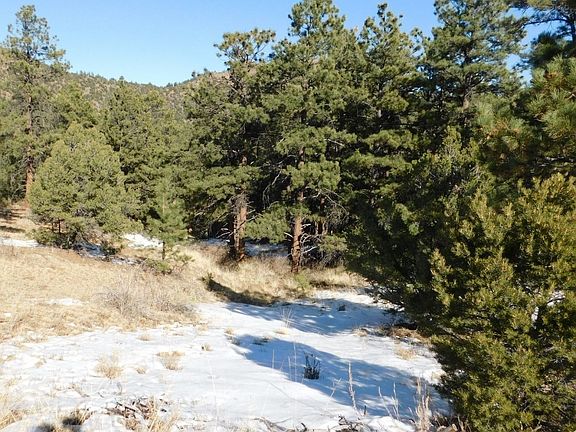 4th image of Tbd Pine Ln