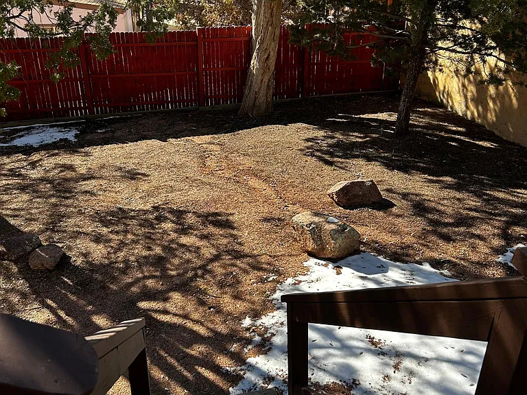 Back yard