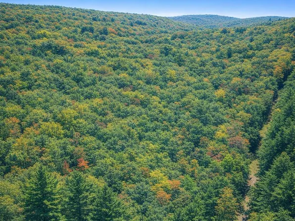 LOT 168 Forest Ridge Trl, Fort Valley, VA 22652