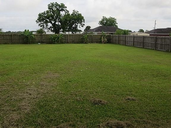Back Yard, Banana trees are much bigger now.......