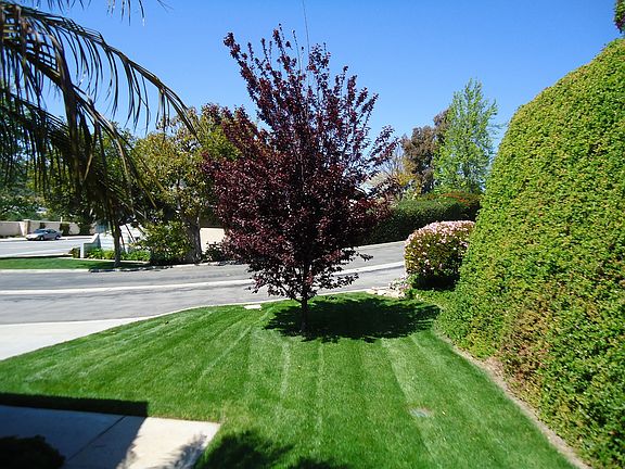 2nd image of 303 Rolling Hills Ln