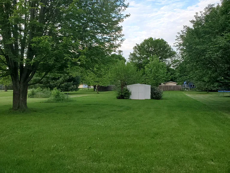 Backyard and storage shed