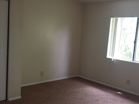 5th image of 860 S Palmetto Ave