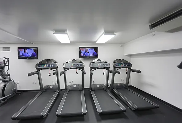 Rented by Manhattan Skyline | media 6