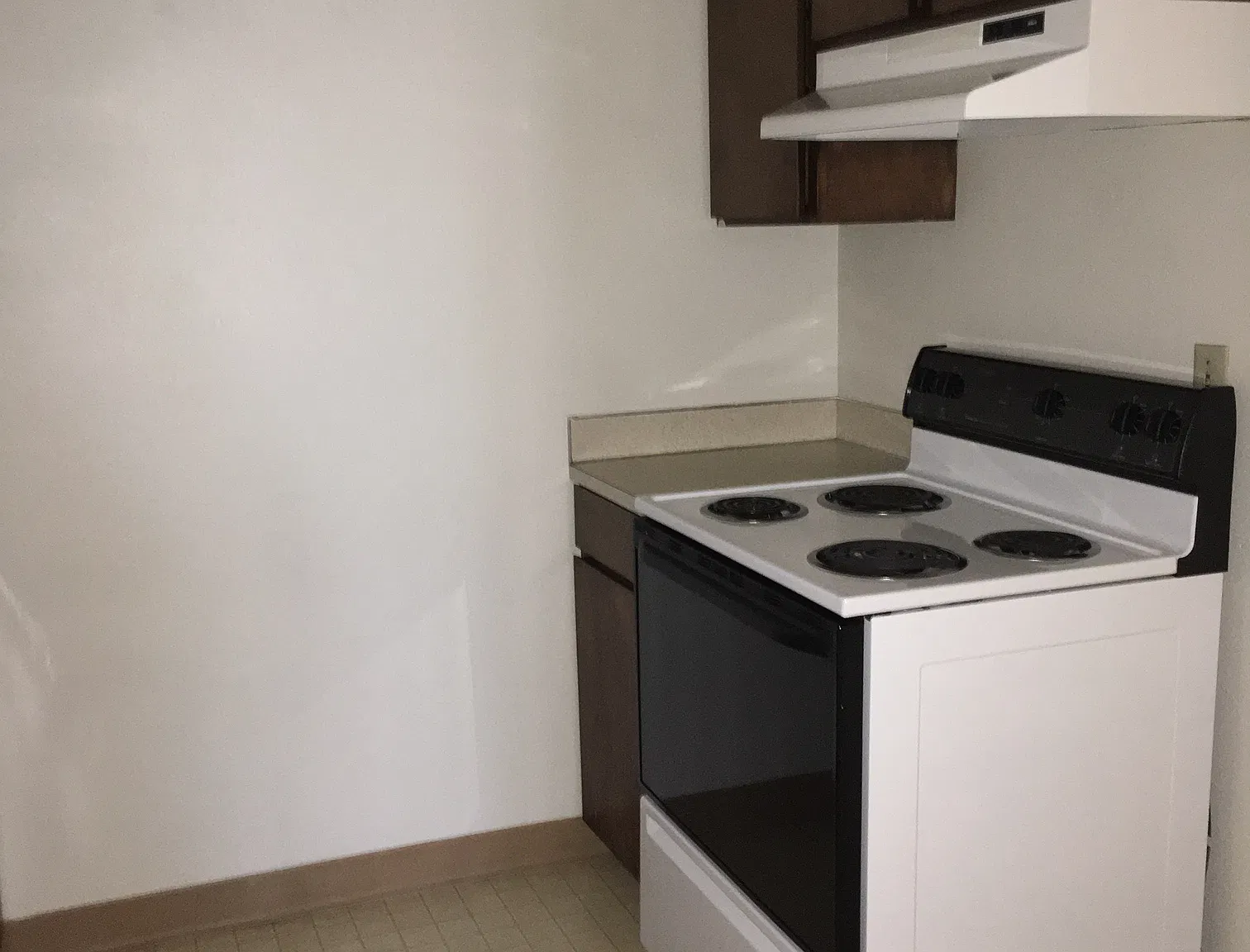 1 bed, 545 sqft, $1,250 — Photo 3