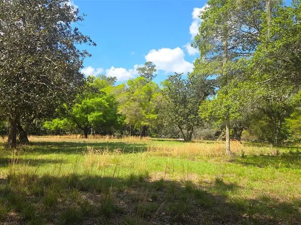2140 Saint Johns River Rd Lot 8, Astor, FL 32102