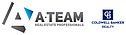 MLS Logo
