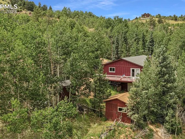 128 No Name Ln, Cripple Creek, CO 80813