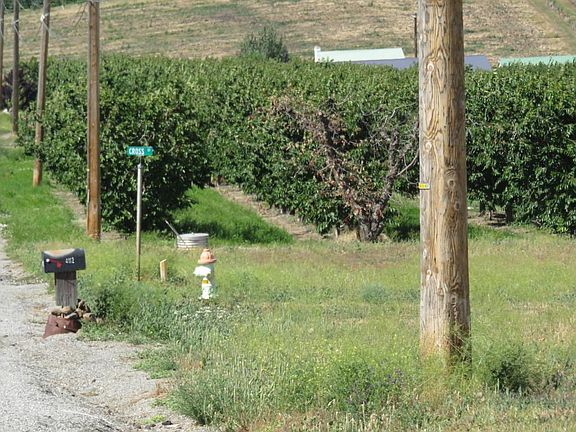 Road side of Lot 9 towards bottom side o