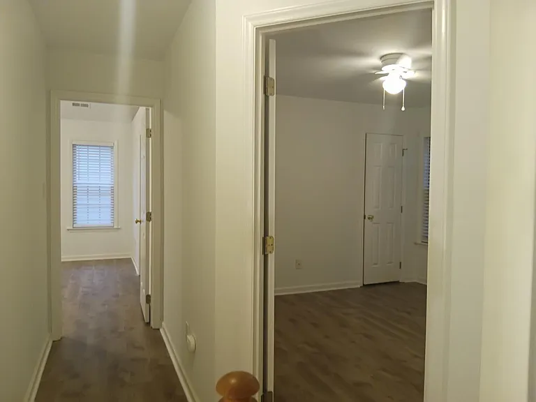 113 Trailing Fig Ct — Photo 19