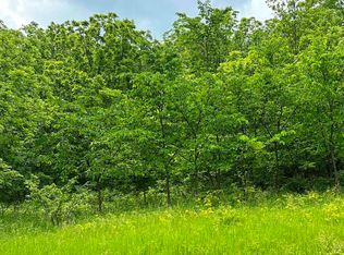 7A68 Blue Gray Dr, Apple River, IL 61001