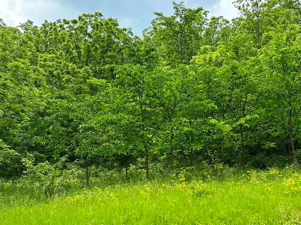 7A68 Blue Gray Dr, Apple River, IL 61001