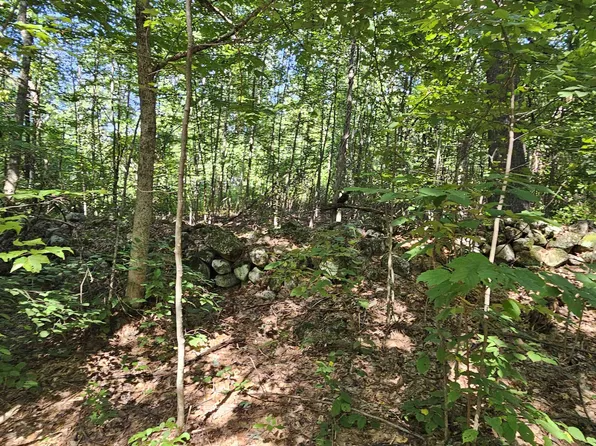 13-32-1 Prescott Lane, Auburn, NH 03032