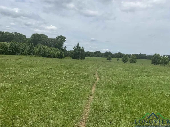 County Road 2314, Pittsburg, TX 75686