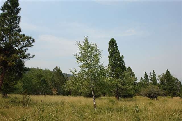 2nd image of Braziel Creek Rd