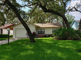 11506 Yellow Birch Ct, New Port Richey, FL 34654