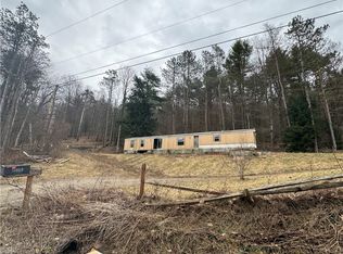 10264 Ryan Hollow Rd #5, Cohocton, NY 14826