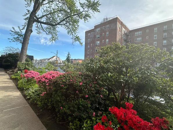 84-49 168th Street image 17 of 19