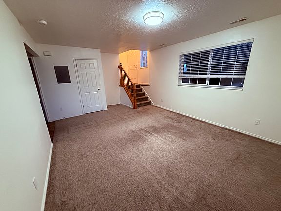 Main floor family room, showing entry and steps down to family room. There is large closet under the stairs.