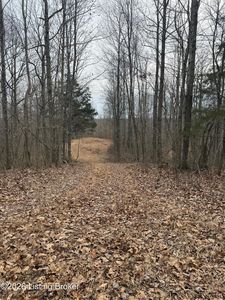 0 Thompson Hill Rd, Hodgenville, KY, 42748