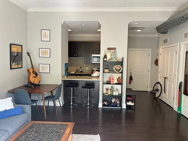 1440 S Wabash Ave #309 — Photo 8