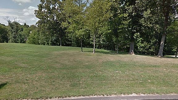 2nd image of Snowberry Ln Lot 14