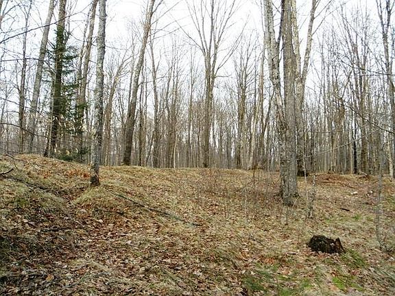 2nd image of ON Pixley Wilderness Shrs