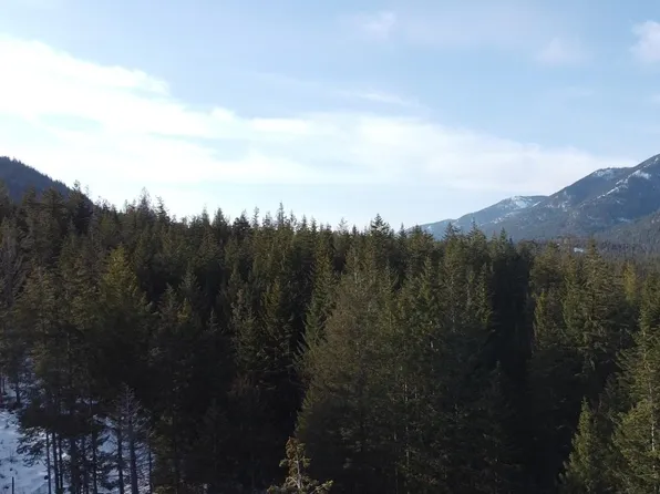 Nna Catwalk Hills Lot 3, Clark Fork, ID 83811