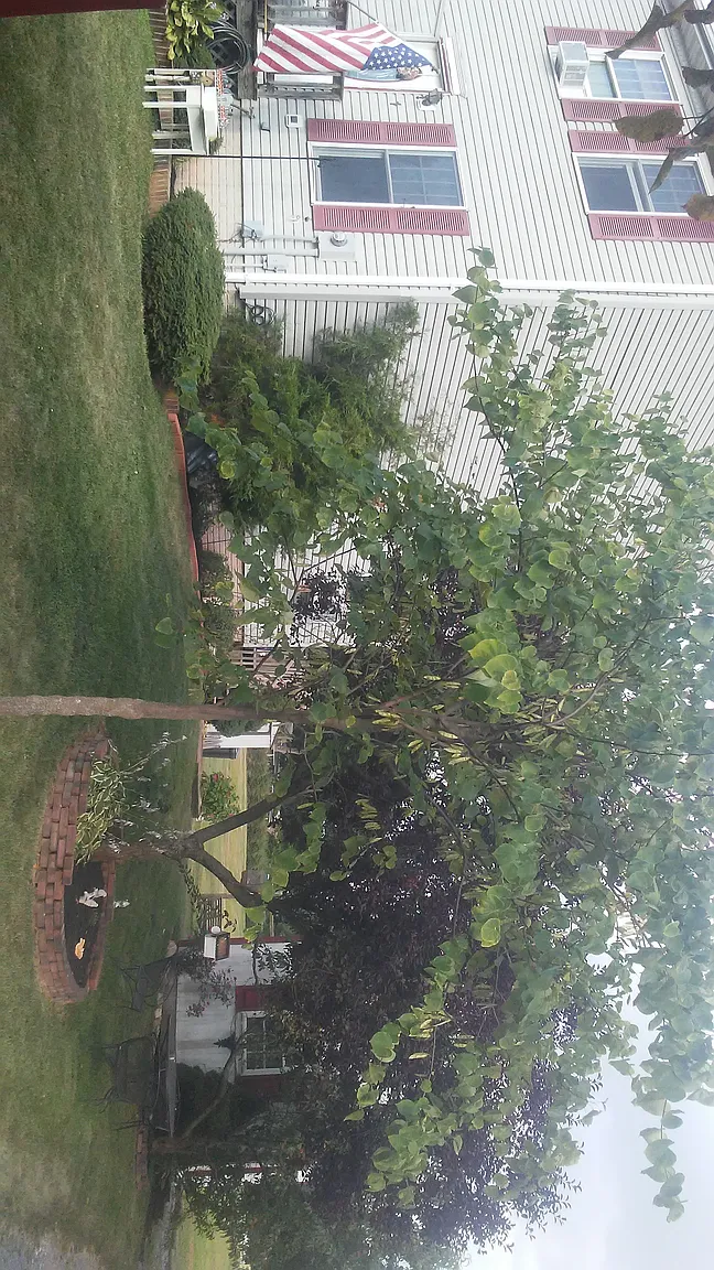 1 Courtland St photo 1