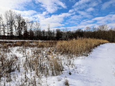 F Dr N LOT WP001, Albion, MI, 49224