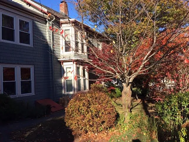 87 Wyman St #1 — Photo 10
