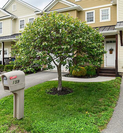 2nd image of 159 Eloise Cir