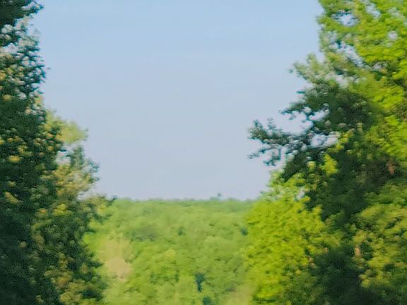 View from the top hill