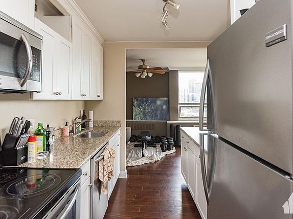 4th image of 1440 N Sandburg Ter #1411