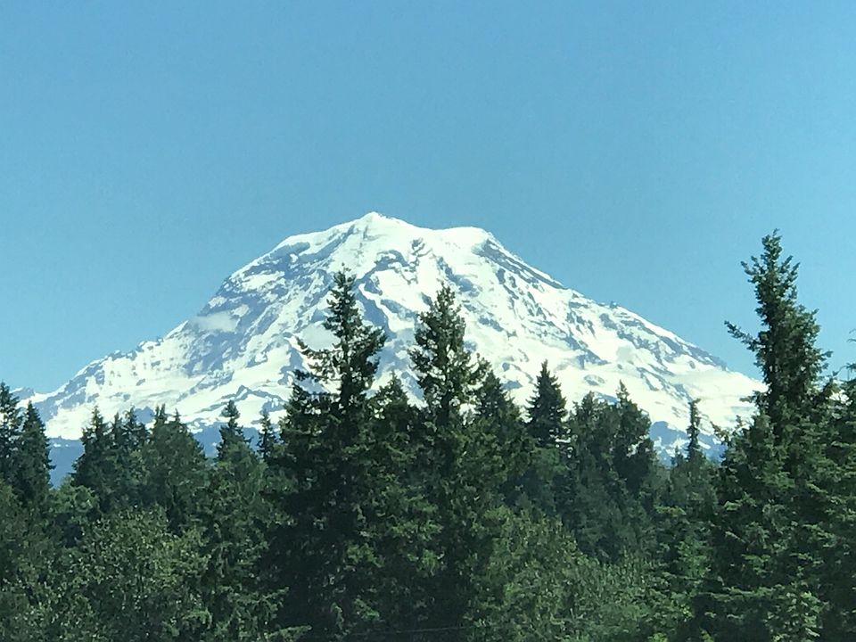 From the deck