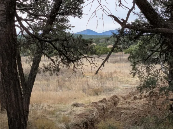 14 Falling Star Dr, Tijeras, NM 87059