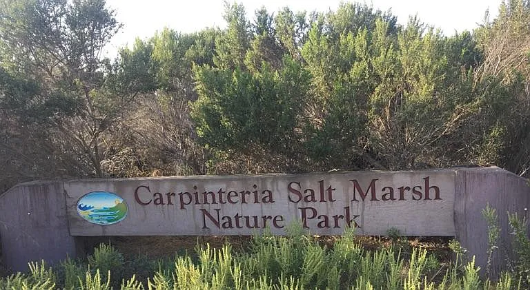 The Carpinteria Salt Marsh Nature preserve is directly across the street