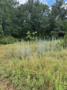 4312 Tennessee Trl, Granbury, TX, 76048