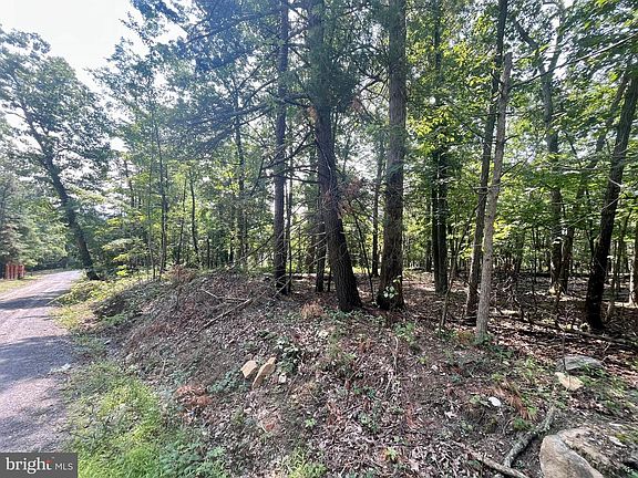 3rd image of Cross Creek Rd