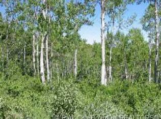 W Beaver Cir #D-29, Coalville, UT 84017