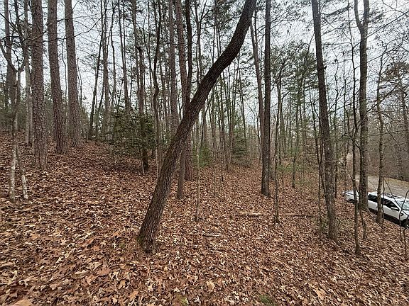 5th image of 0 Kestrel Ridge Cir Lot 17