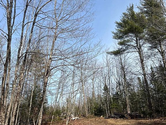 3rd image of Lot 10 Albion Road