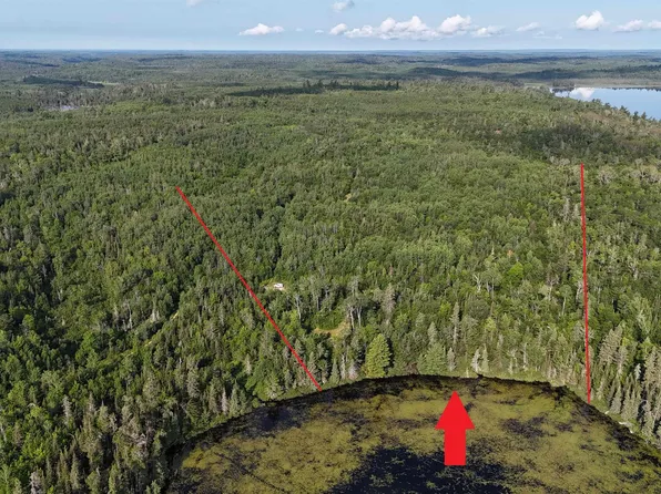 Xx20 Ban Lake South Spur, Orr, MN 55771