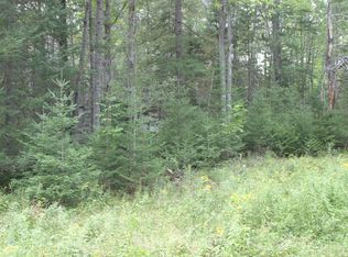 W Birch, Mikado, MI 48745