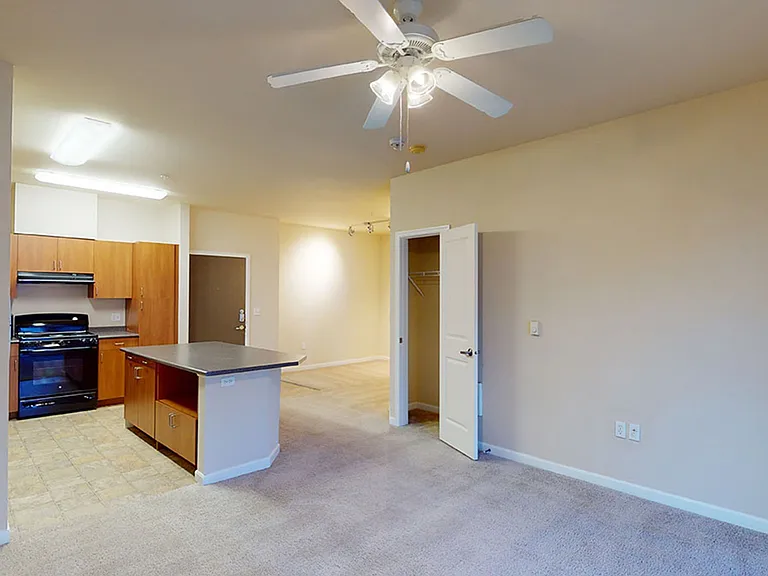 Apartment kitchen, dining and living room with plush carpet flooring.