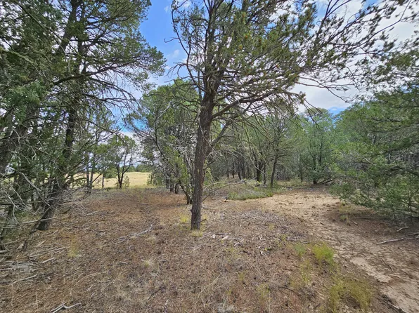 228 State Highway 217, Edgewood, NM 87015