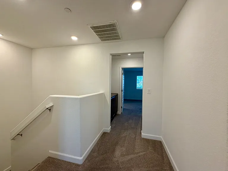669 Pickled Pepper Pl — Photo 22