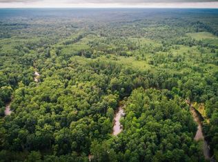 W Wingleton Rd, Baldwin, MI 49304