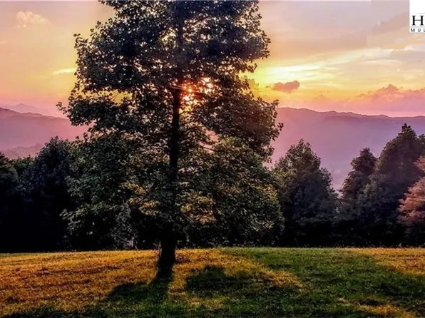 TBD Tangled Stone Drive, Zionville, NC 28698