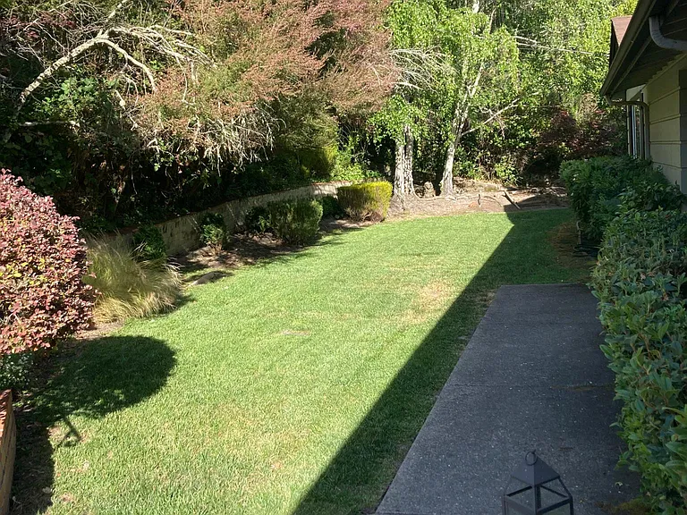 282 Orchard Rd — Photo 8